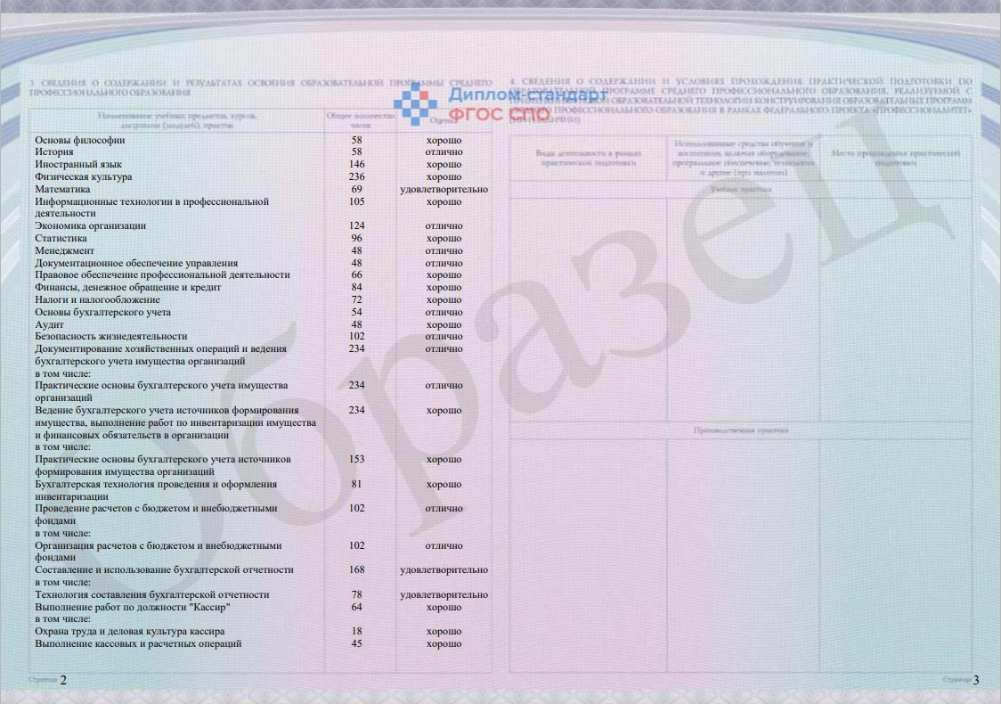 Диплом спо образец заполнения