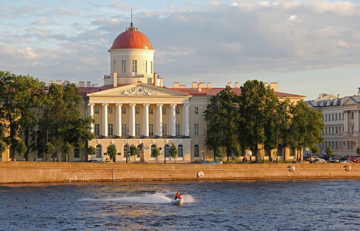 Пушкинский дом крыша