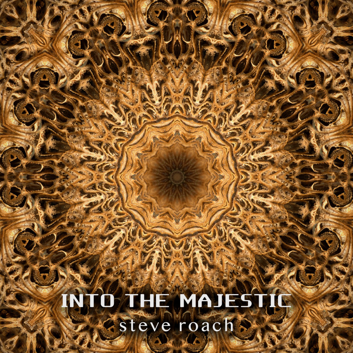 обложка взята со страницы Стива Роуча на Bandcamp