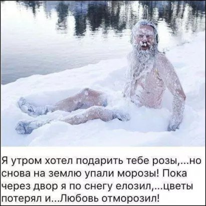 Картинка из интернета