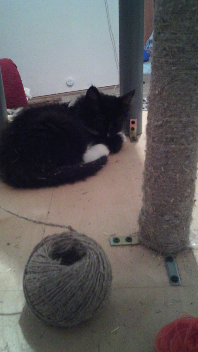 Первый этап был завершен, пришлось подкрепить силы.