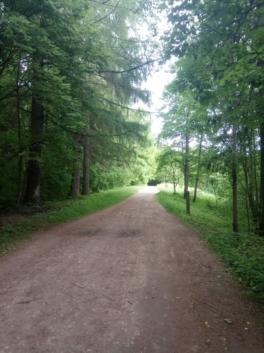 И не парк будто, а глухой лес, и как безлюдно