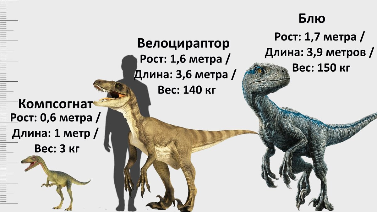 Сравнение всех динозавров из Мира и Парка Юрского периода