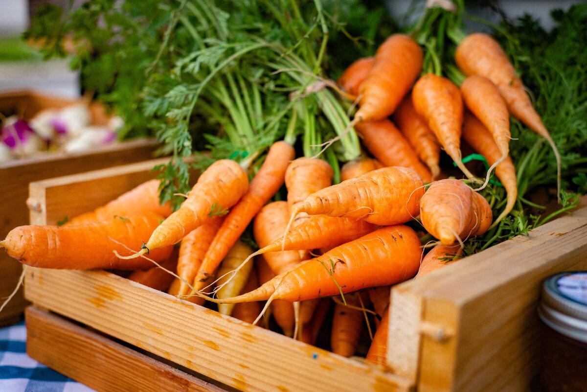Продукты для здоровья: ТОП-10 овощей, которые нужны организму