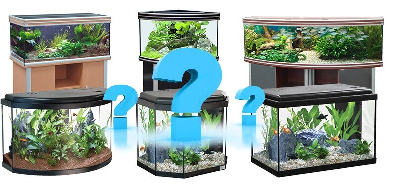 Выбираем аквариум  Источник фото Яндекс