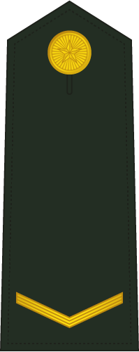 рядовой, 列兵 (лиэбин)