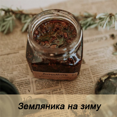 Земляника на зиму