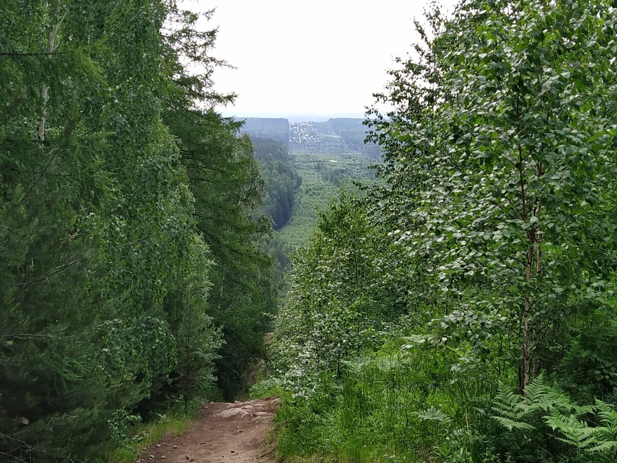 Фото участников.