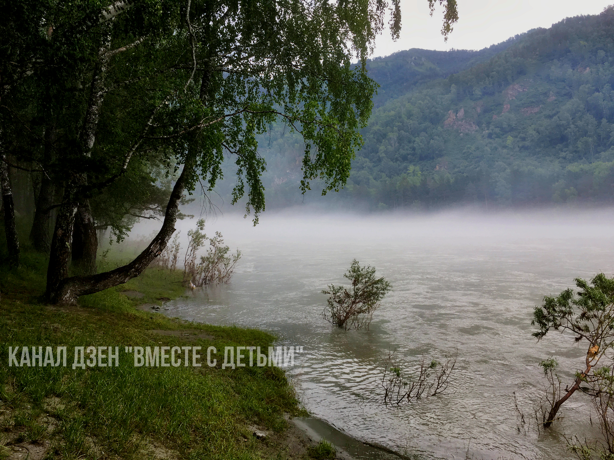 Берег реки Катунь после дождя. Туман над рекой - красиво и таинственно.
