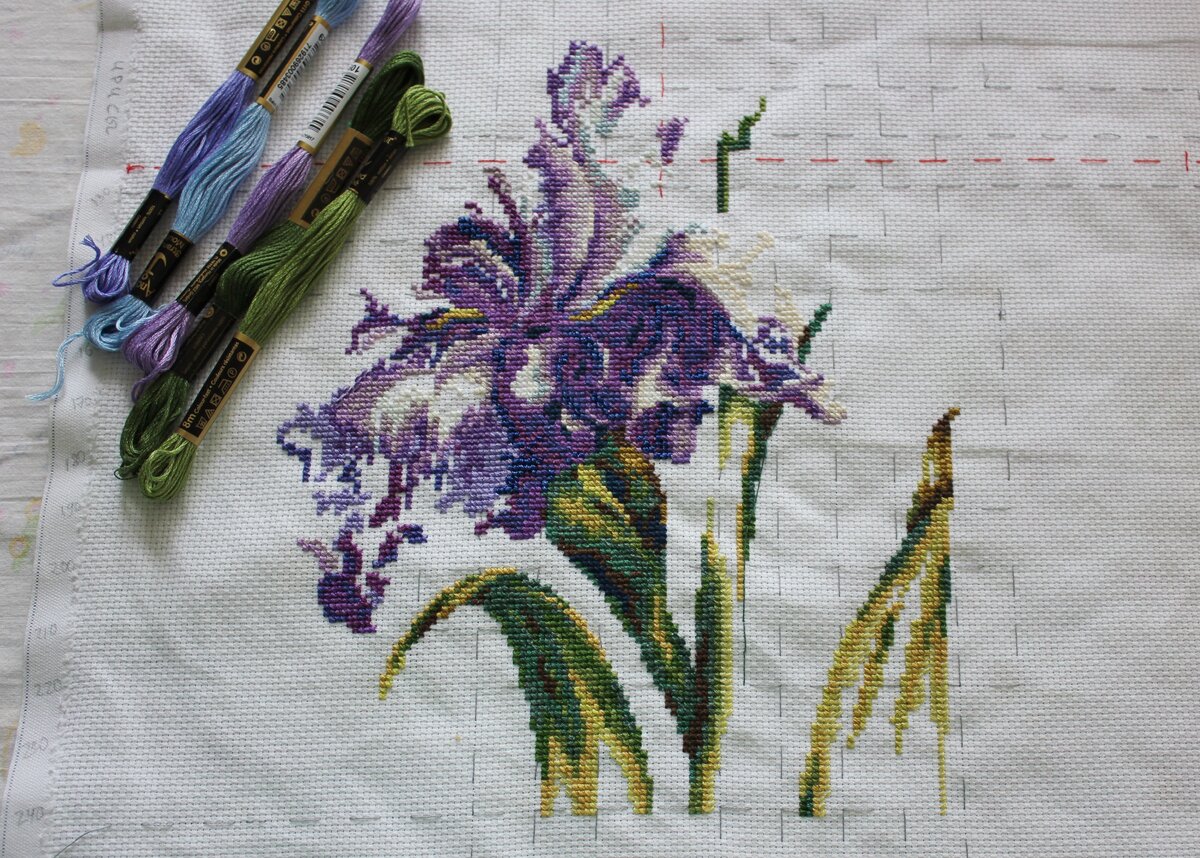 Фото автора статьи