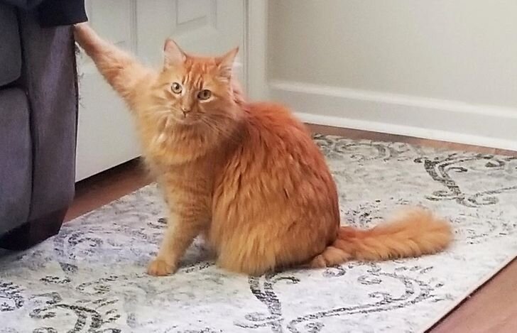 © spacecatJ / Reddit