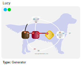 Карта Бодиграф собаки