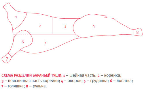 Схема бараньей туши