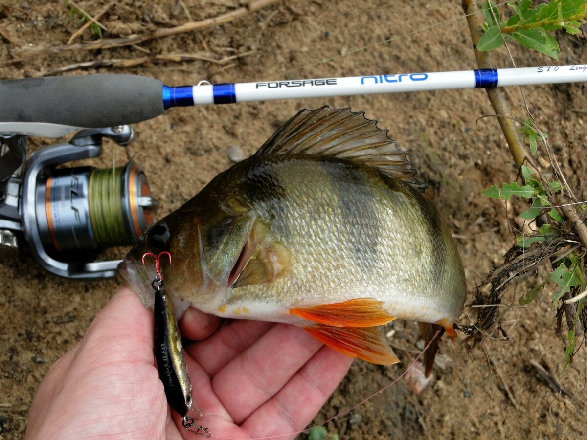 Катушка на песке, часто мне за это делают замечания под фото )))