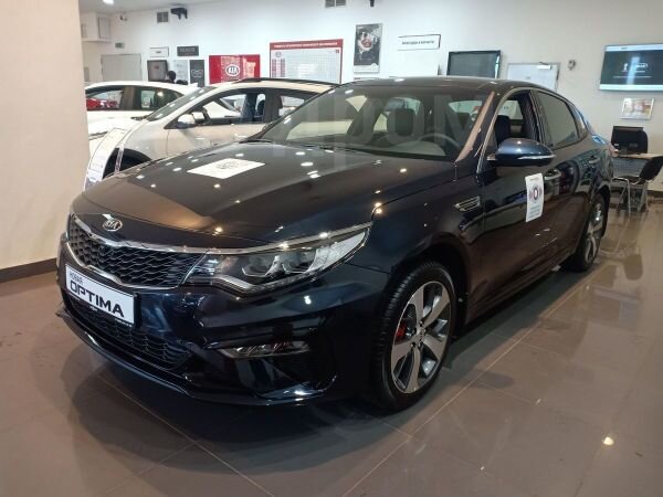 Красавица Optima 2019