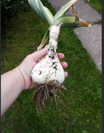 фото из инета