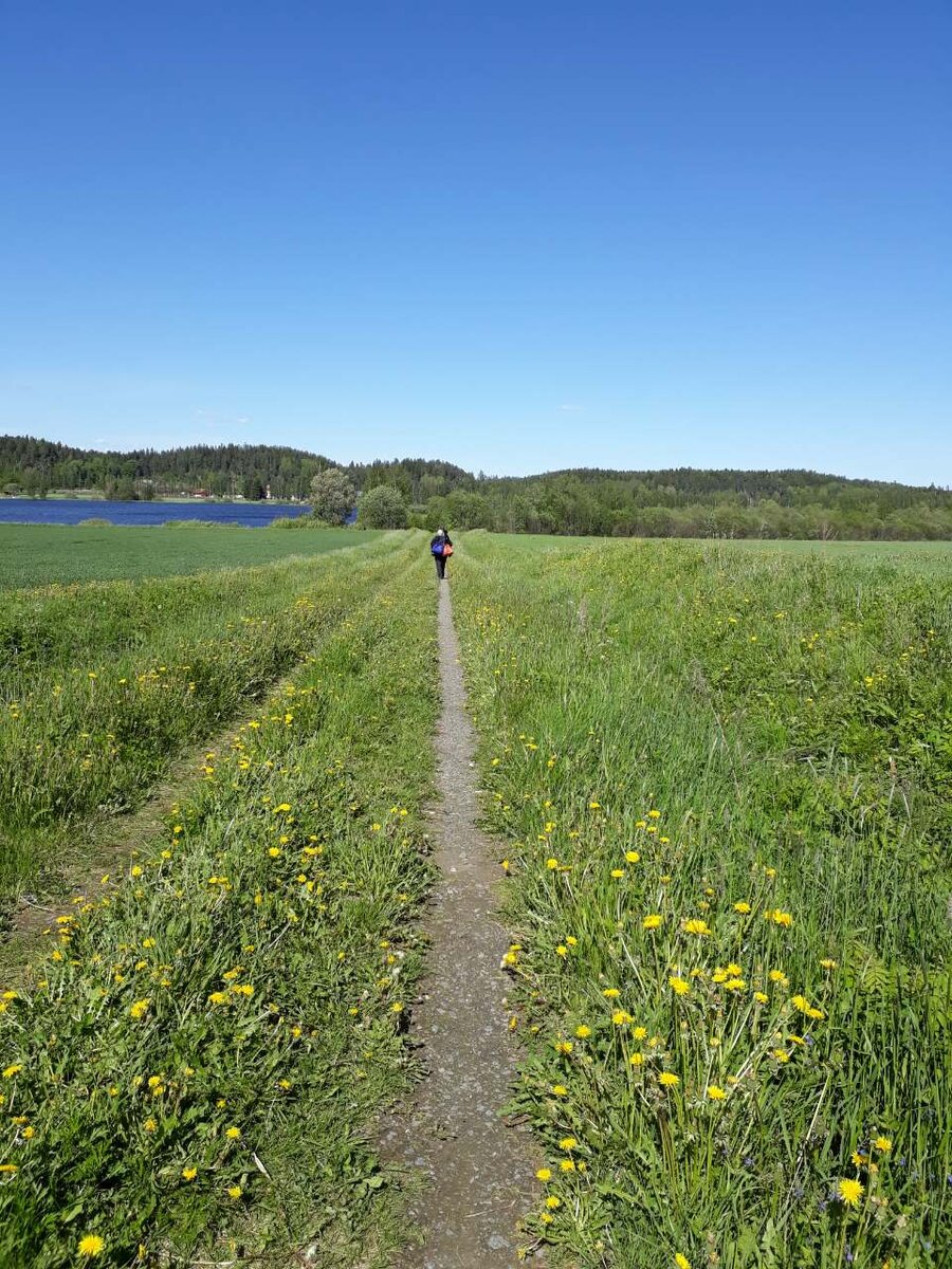 уходит навсегда (фото мое)