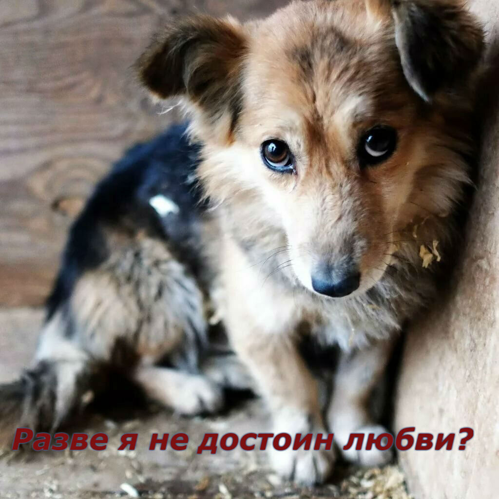 Картинка с Яндекса.