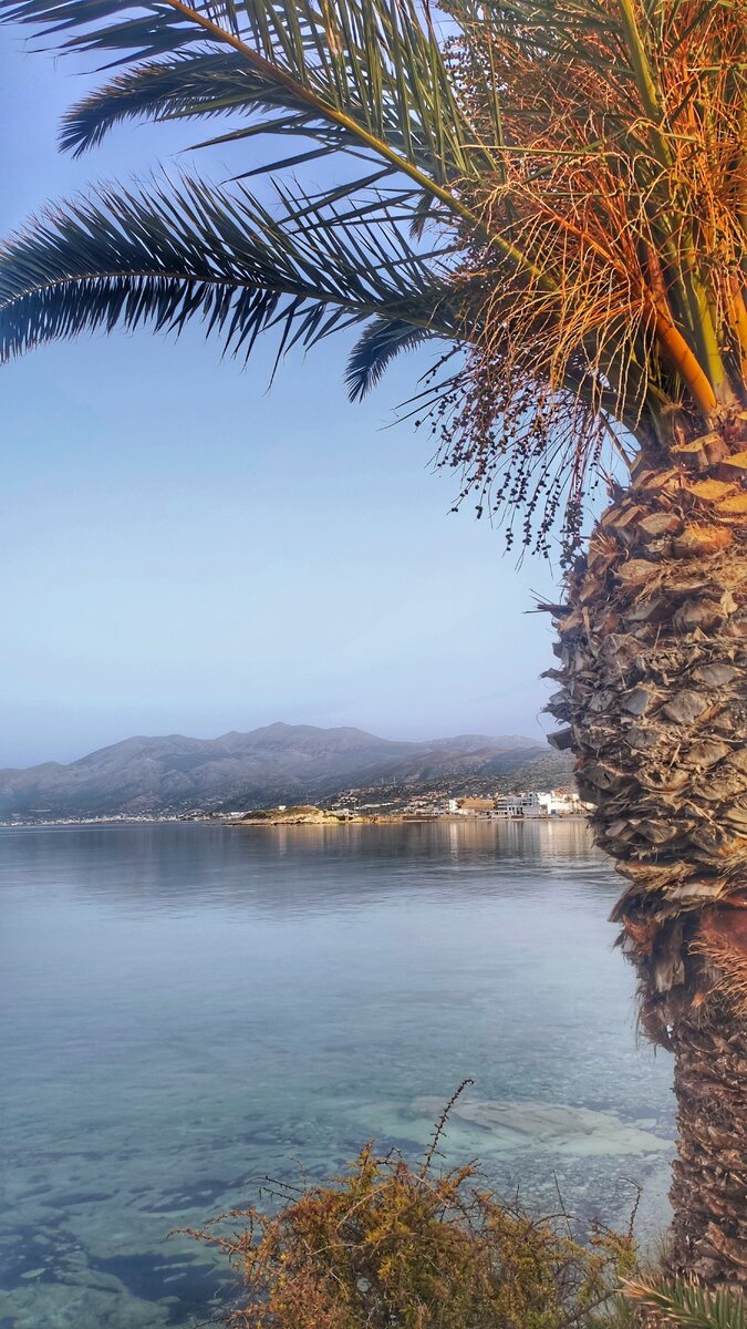 Крит утопает в комплиментах (фото из личного архива автора)