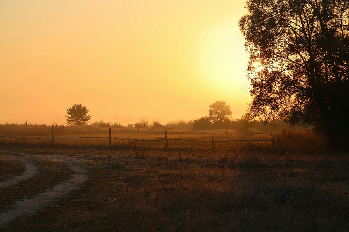 Русские просторы.