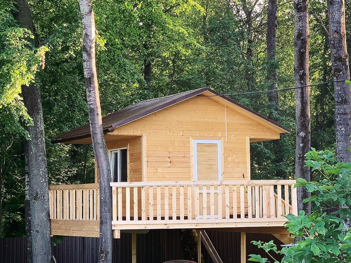 Домик на дереве на участке одного из жителей ДПК Дарьино.