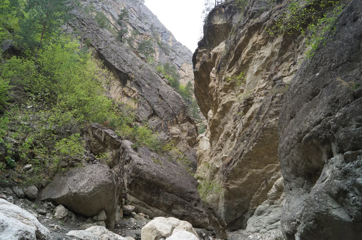 Изображение из публичного доступа в сети Интернет