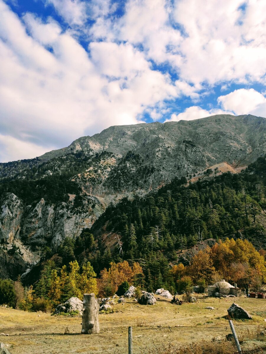 Краски осени