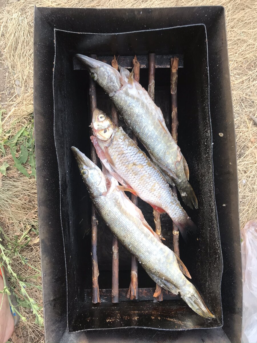 Первая партия копчения