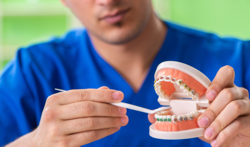 Фото: shkolazhizni.ru