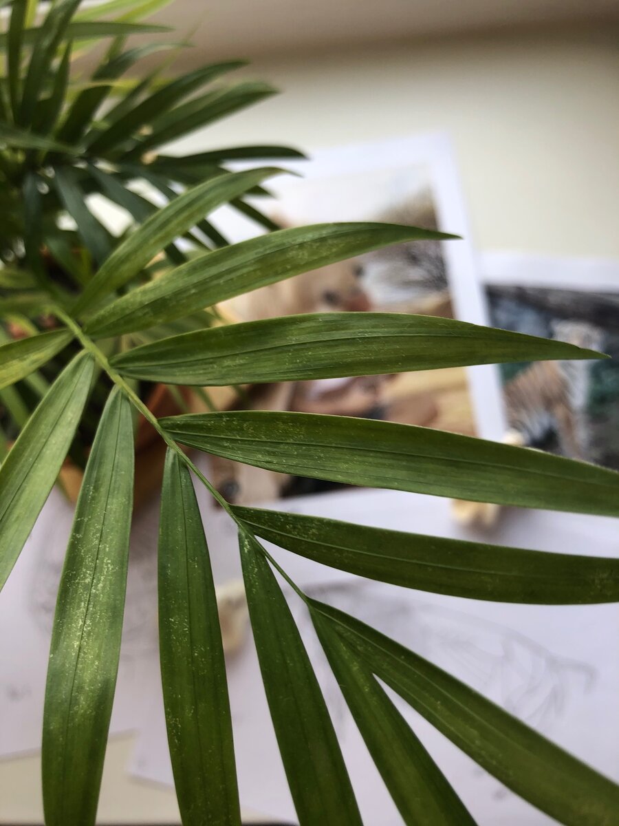 Как добиться невозможного? 