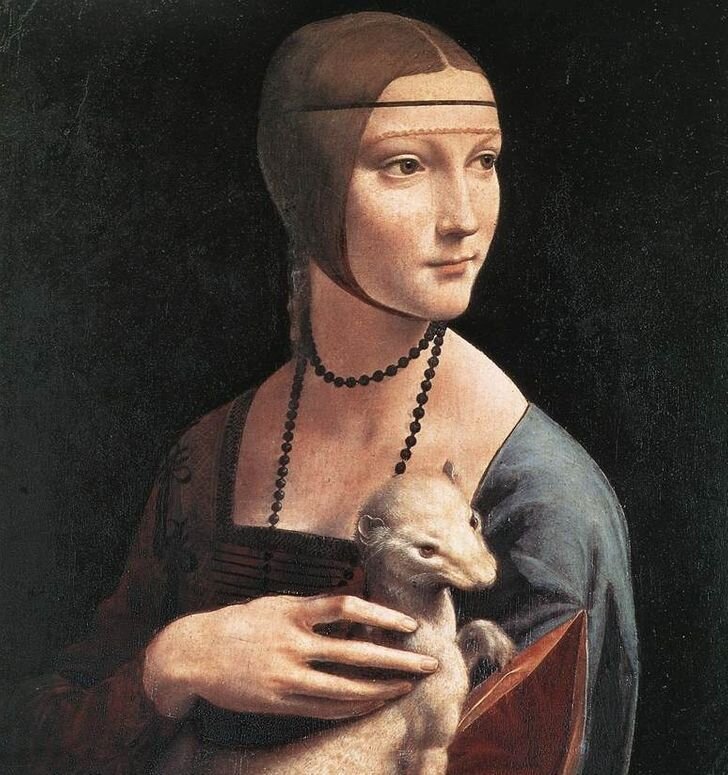 © Lady with an Ermine / Leonardo da Vinci
