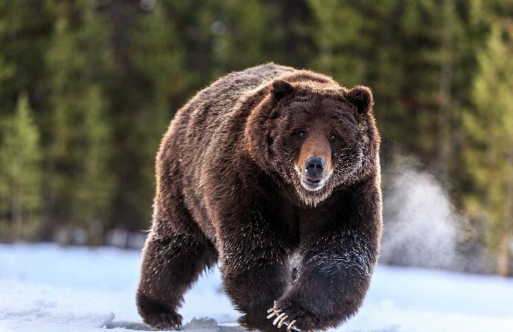 Обязательно подписывайтесь на канал и ставьте лайк)