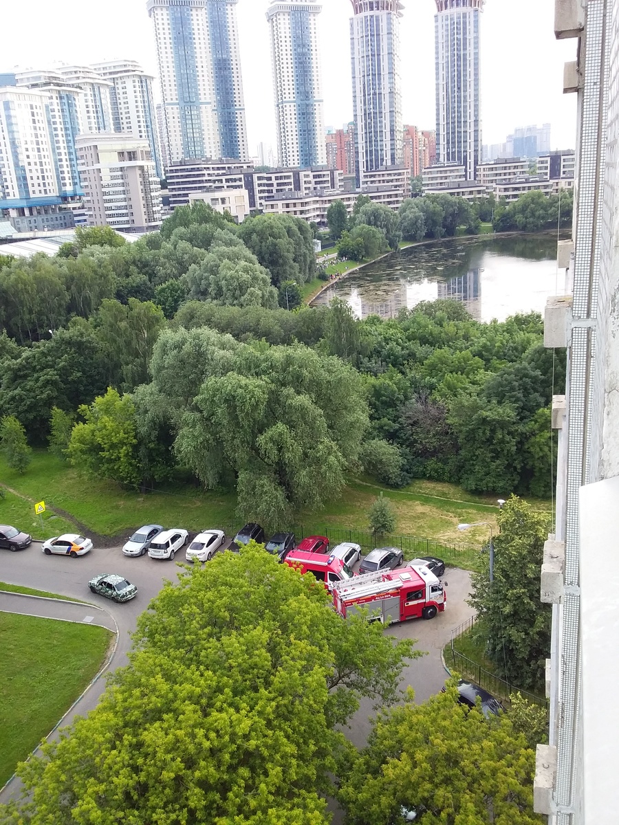 Жизнь в "человейниках" тяжела