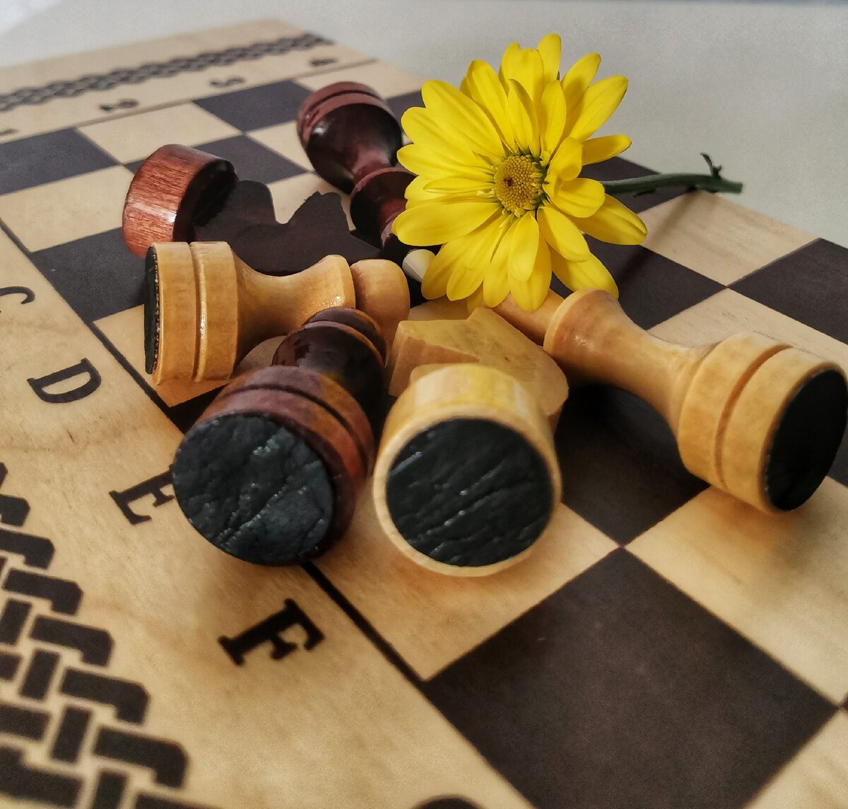 Шахматы вечны...