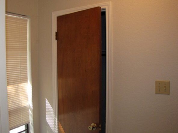 "Если хочешь спрятать дерево, спрячь его в лесу"