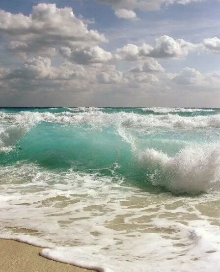 Фото из интернета 