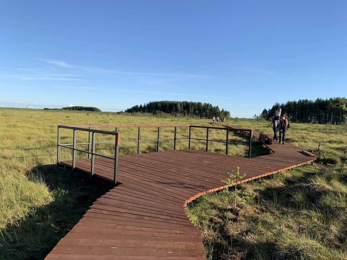 Экотропа Сестрорецкие болота - смотровые площадки. Листайте