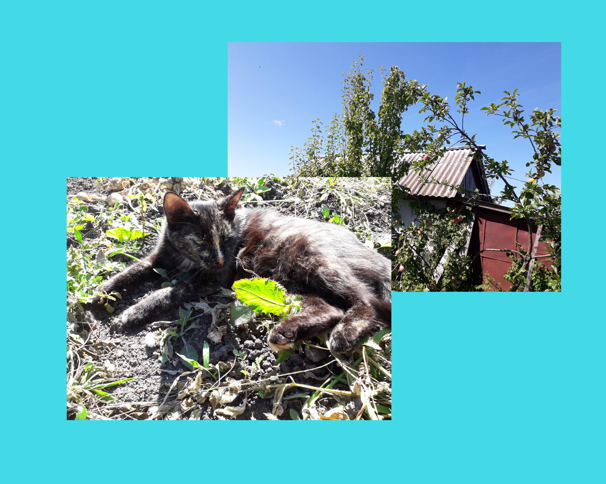 Ставьте лайк, если понравилась история, подписывайтесь на канал-это поможет его развитию!