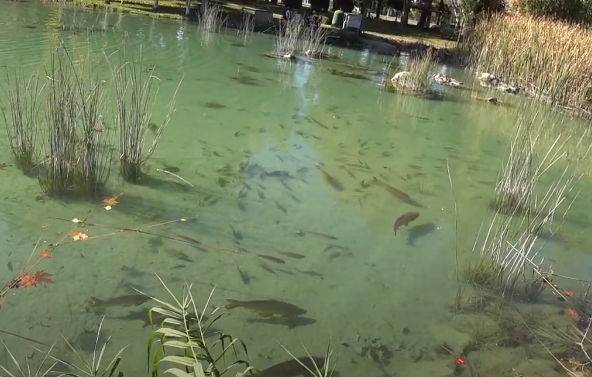 просто живем 