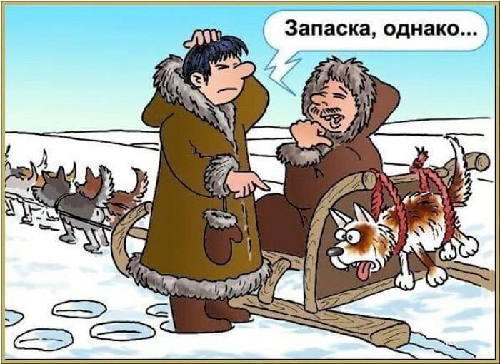 карикатура из открытых источников интернета