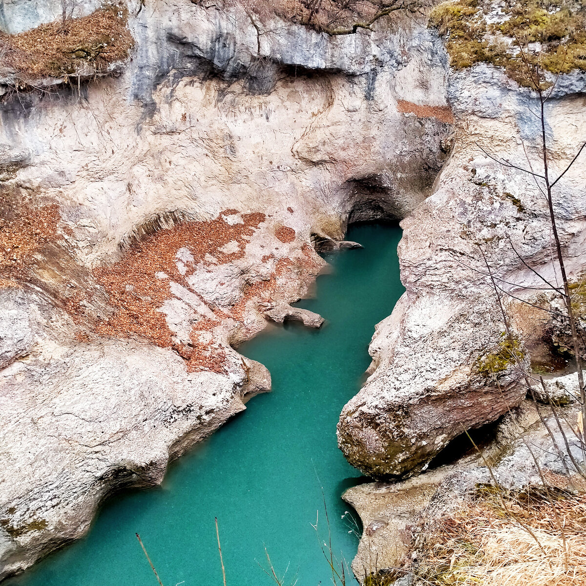 Цвет воды - без фильтров! Хоть река и называется - Белая :)) 