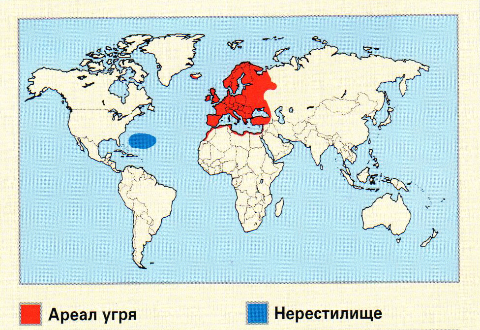 Карта где обитает сиреноголовый