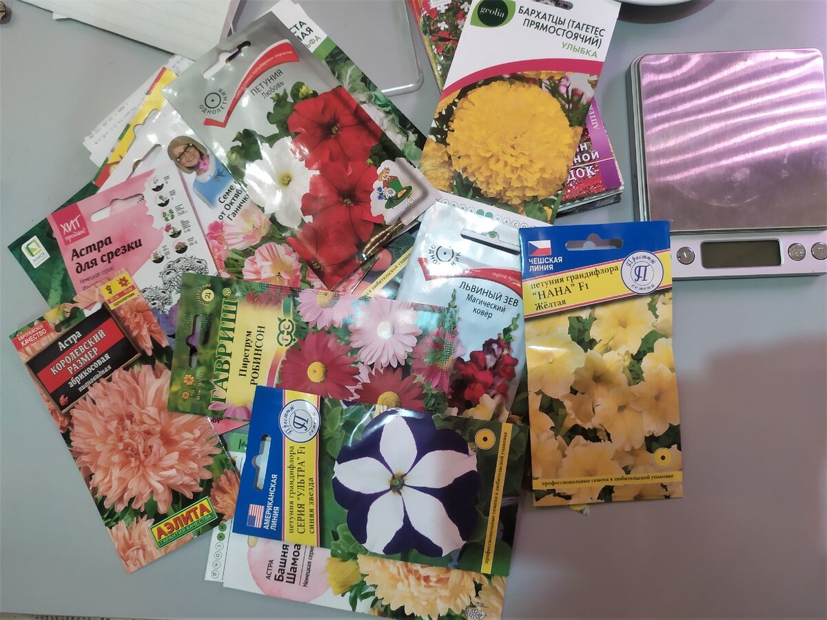 Семена цветов, 2021 г