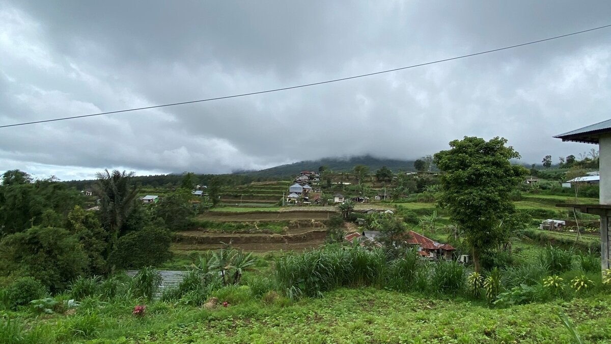 Заоблачная гора Батукару и пустые рисовые террасы, которые готовят к новому посеву.