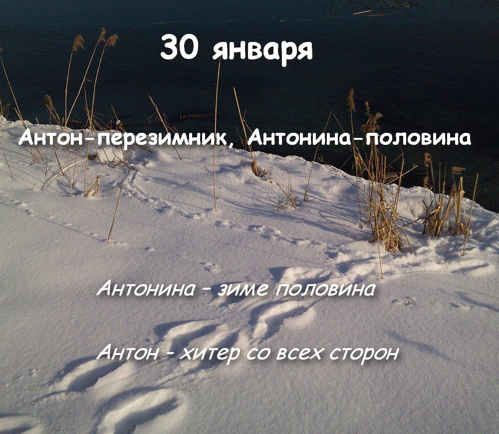 прошло пол зимы. скоро лето надпись. антон перезимник 30 января. прошло пол зимы. мемы с зайцем.