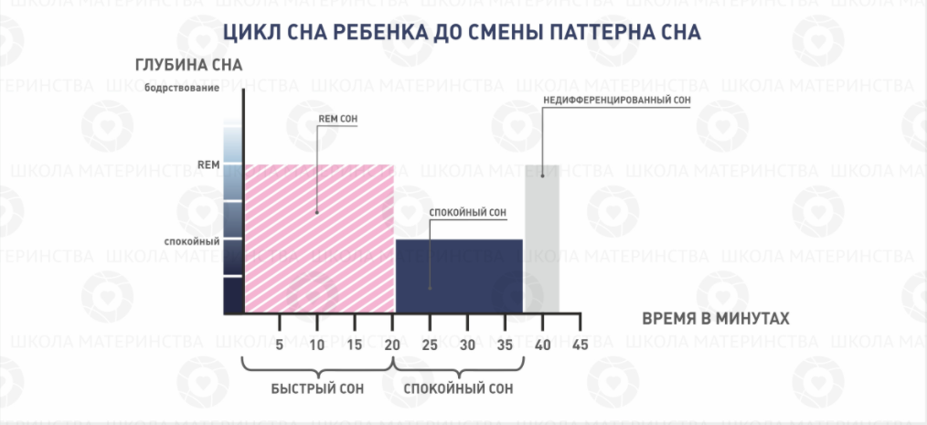Цикл сна ребенка до 3-4 месяцев