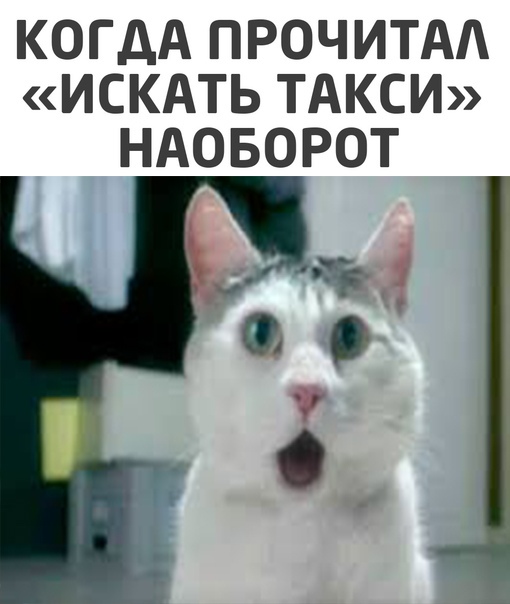 Подборка смешных и прикольных фотографии для отличного настроения
