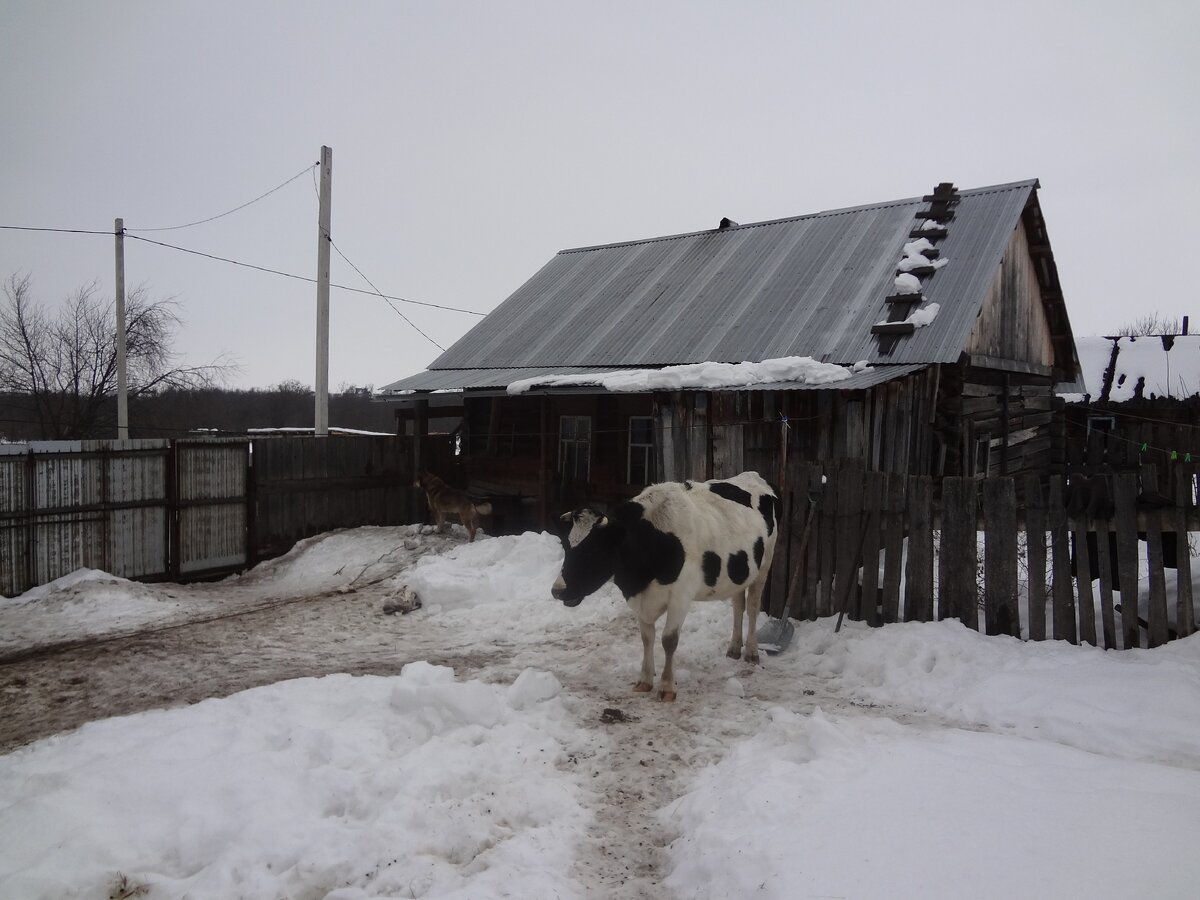 Ждем чего-нибудь вкусного
