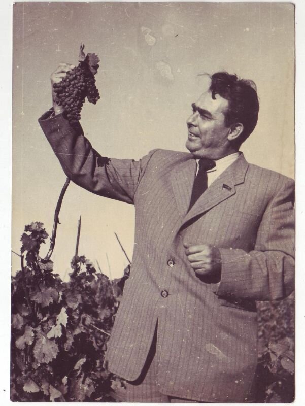 Леонид Ильич Брежнев. Яндекс картинки. 