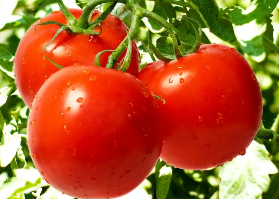 Взято из открытых источников.